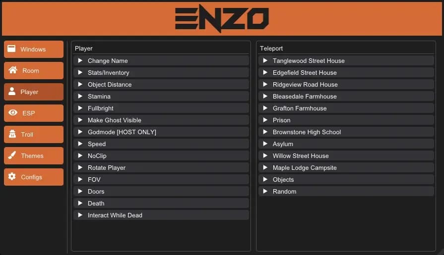 ENZIO image 3