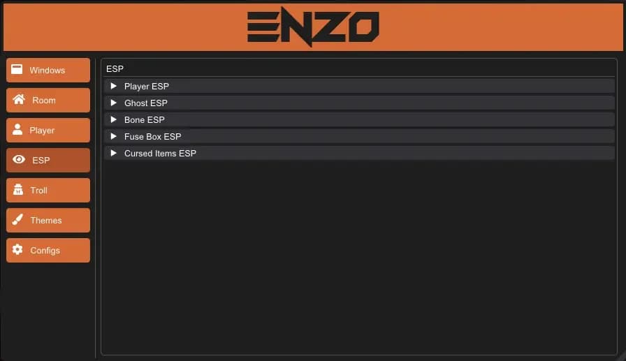 ENZIO image 4